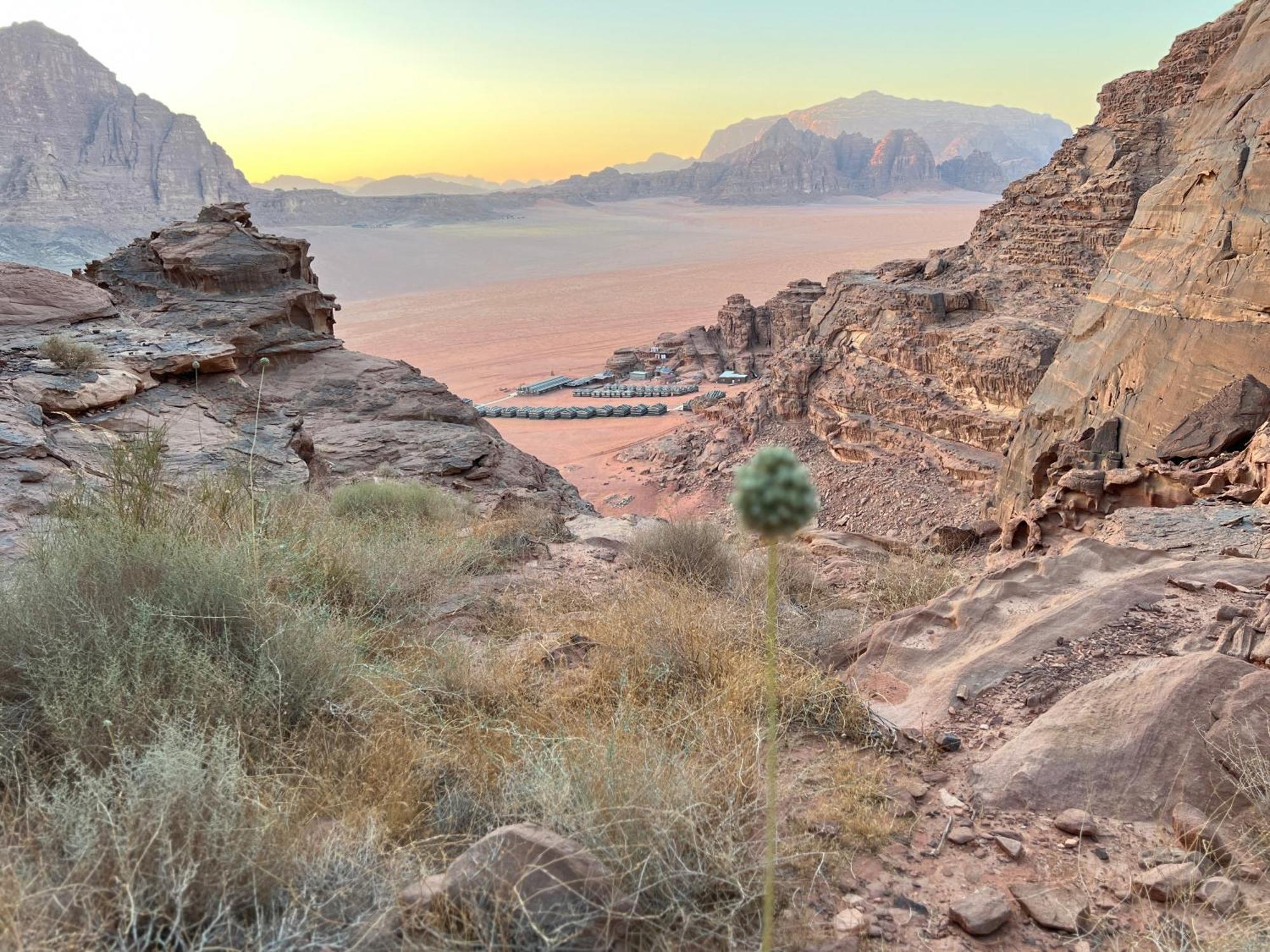Rum Magic Nights Wadi Rum Exterior photo